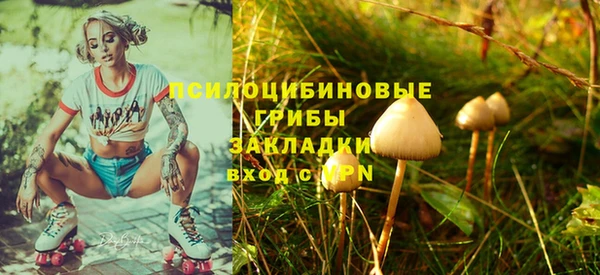 PSILOCYBIN Верхнеуральск